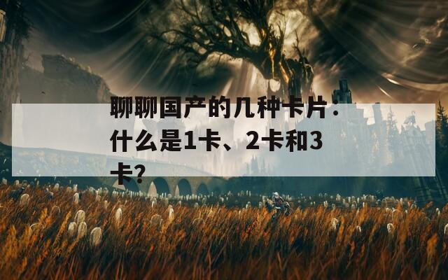 聊聊国产的几种卡片：什么是1卡、2卡和3卡？